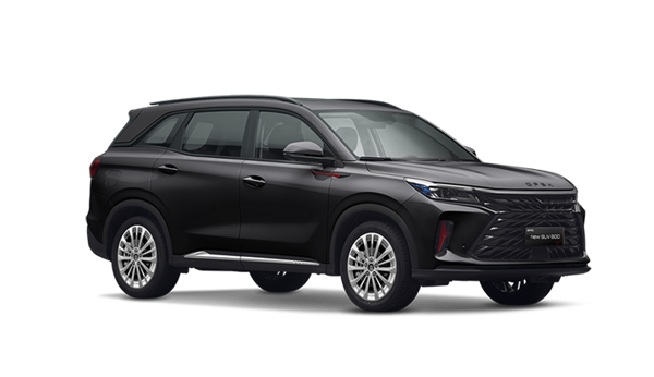 Version one - Color selected 5